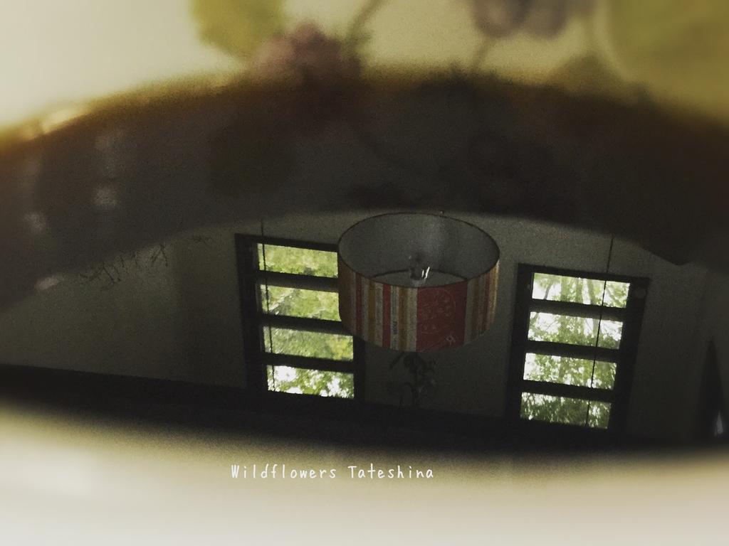 Pension Wildflowers Tateshina  Exterior foto