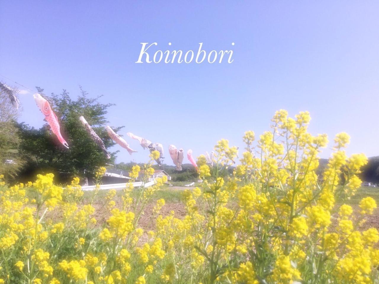 Pension Wildflowers Tateshina  Exterior foto